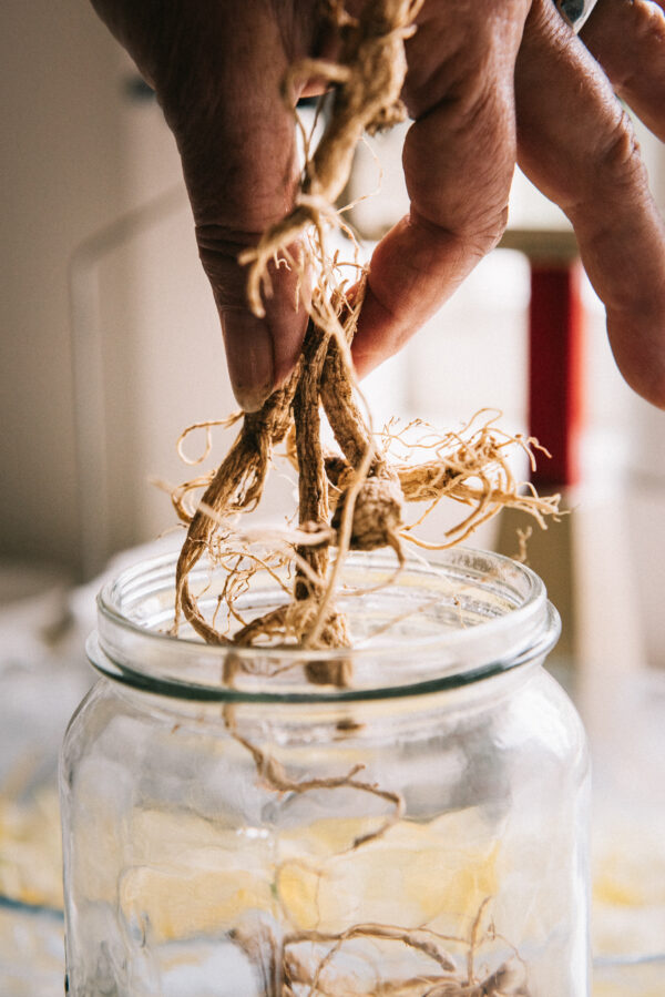 Bitter & Twisted: Aromatic tonics