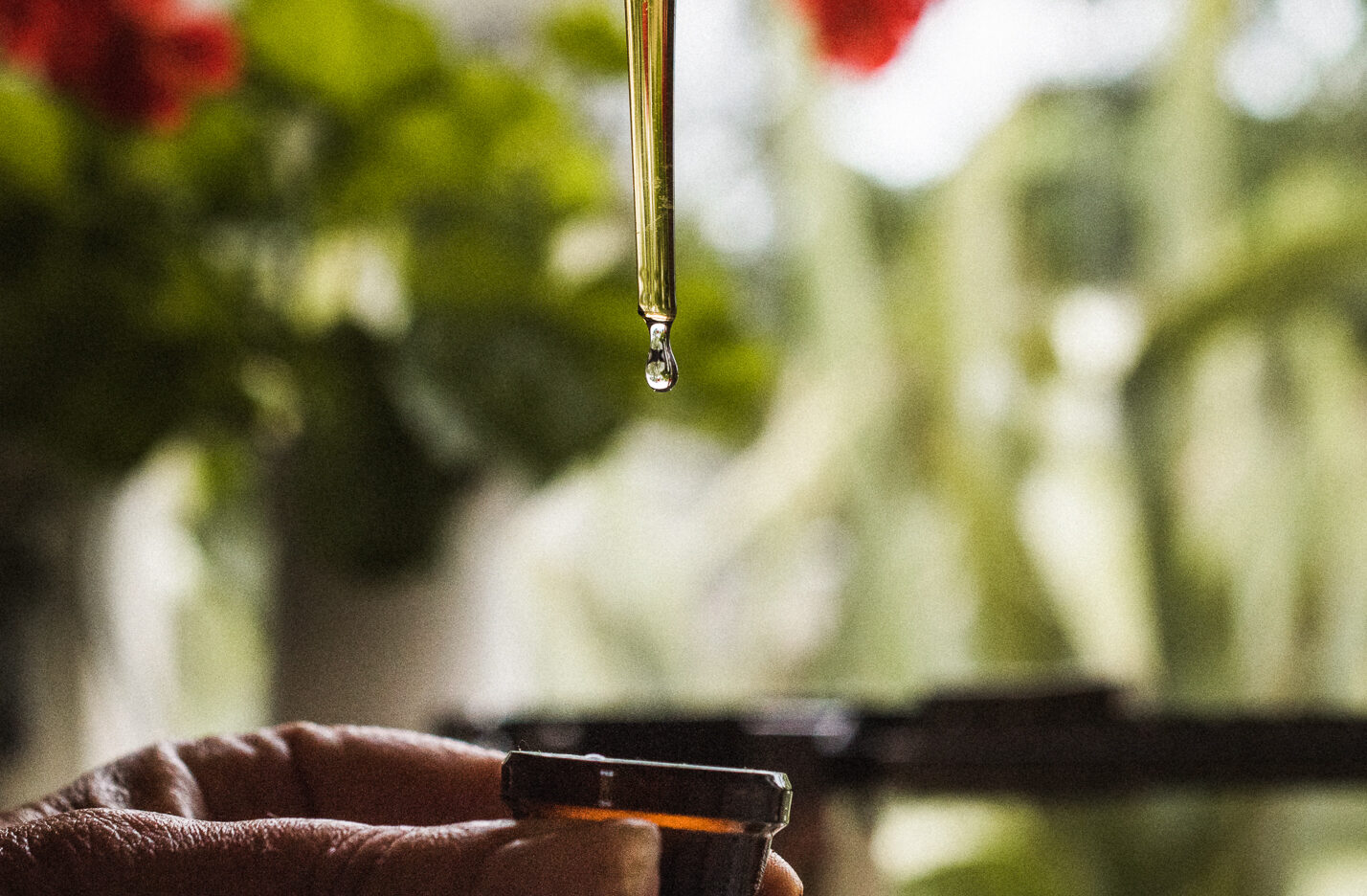 There are no essential oils in plants. Wait, what?