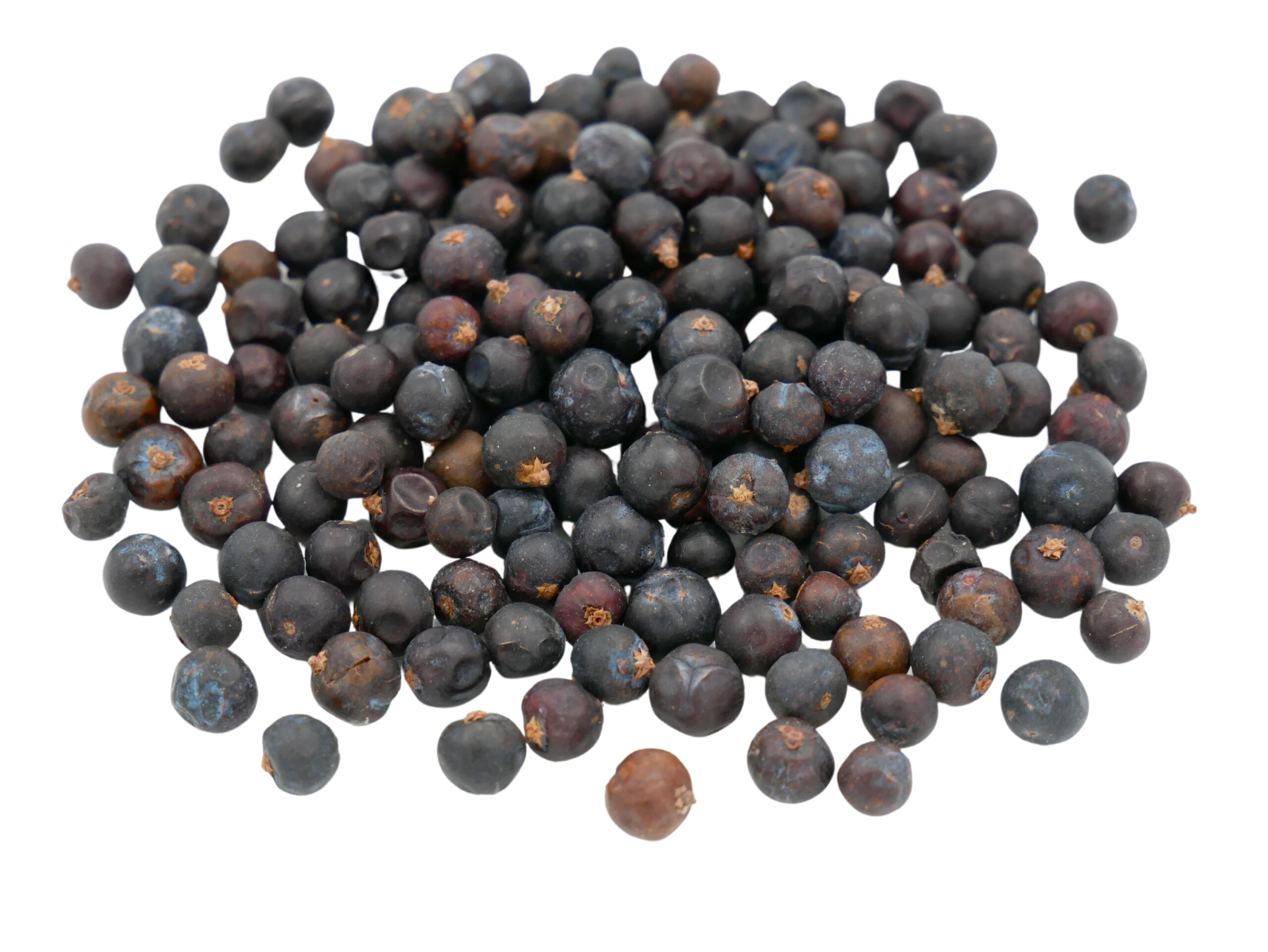 Ingredient Feature: Juniper Berry - Uncommonly Good - Mountain