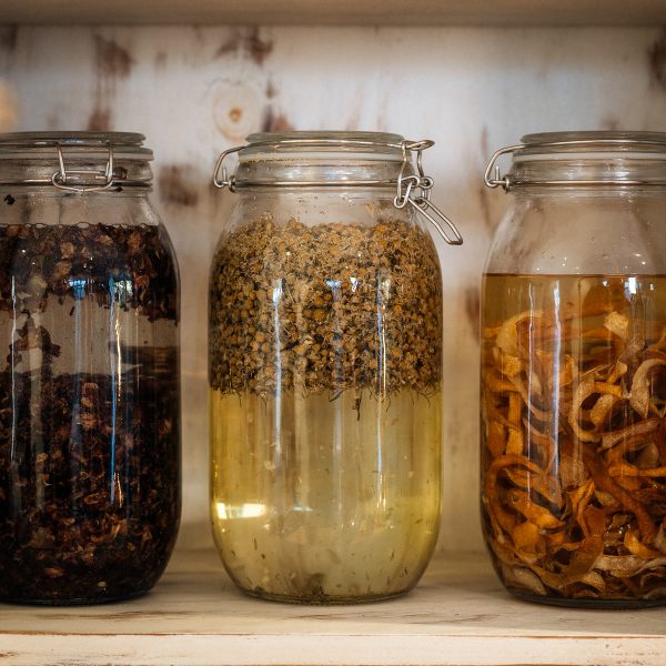 Herbs Made Easy: Simple Remedies for Everyday Wellness (5 week course)
