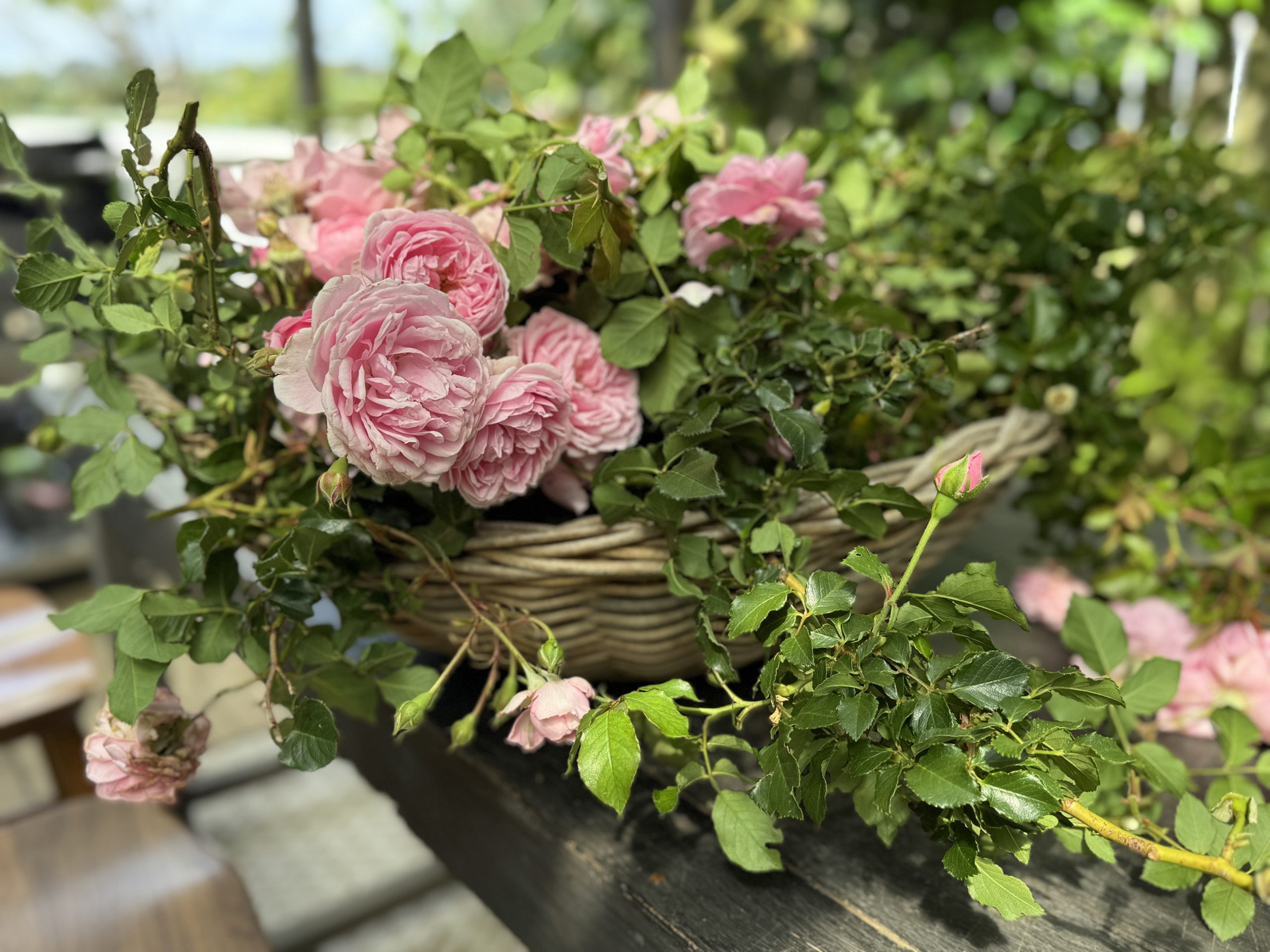 Rose and cucumber gin: A fresh, floral recipe for summer